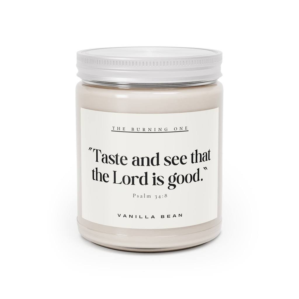 He Makes All Things New — 9oz Clean Cotton Soy Candle